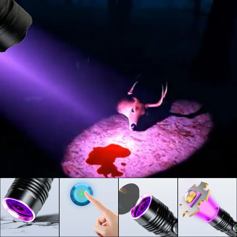 Thumbnail 10